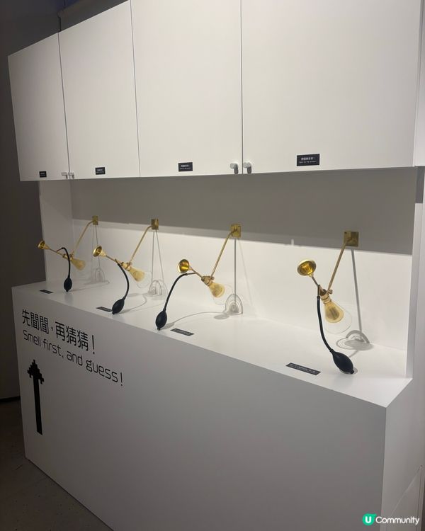 最近Hit到爆既嘔心食物博物館究竟值唔值得去？