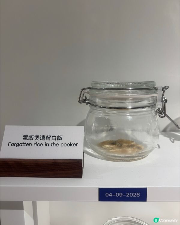 最近Hit到爆既嘔心食物博物館究竟值唔值得去？