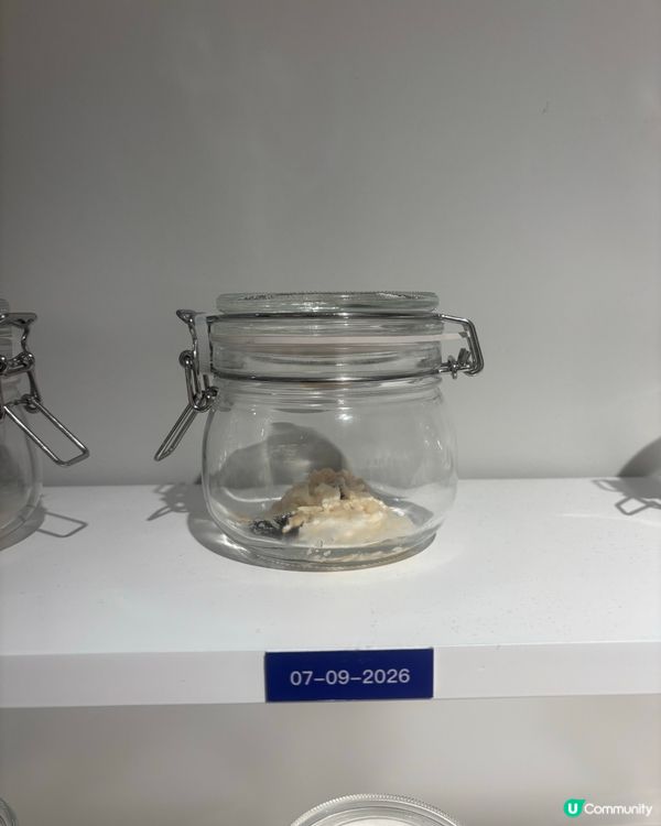最近Hit到爆既嘔心食物博物館究竟值唔值得去？
