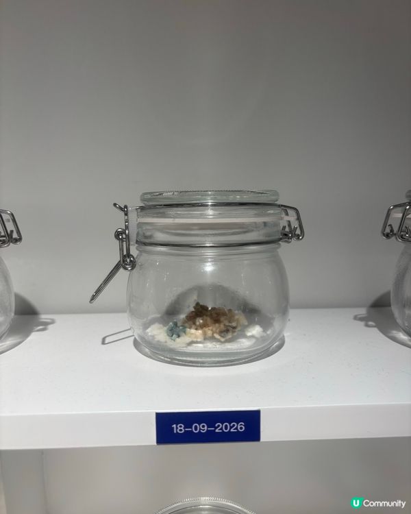 最近Hit到爆既嘔心食物博物館究竟值唔值得去？