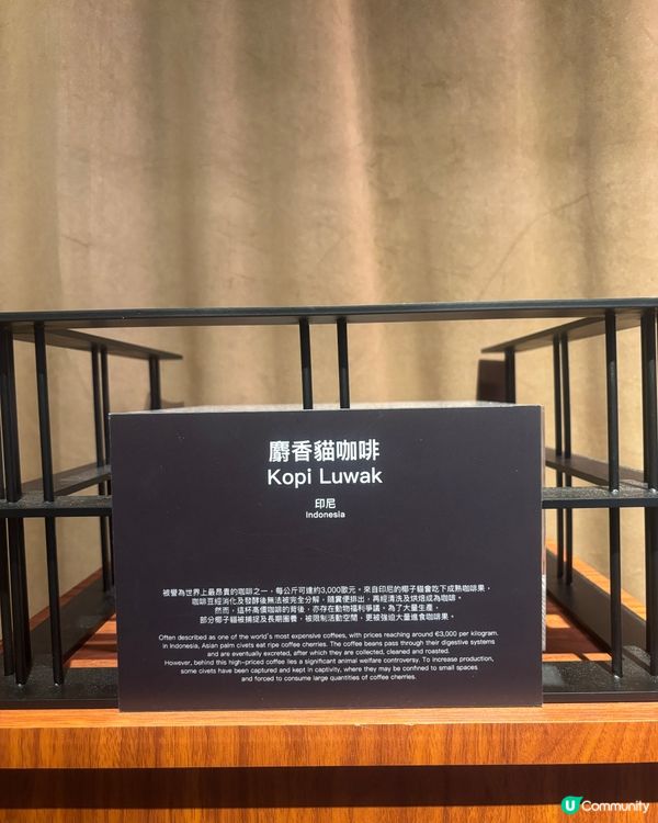 最近Hit到爆既嘔心食物博物館究竟值唔值得去？