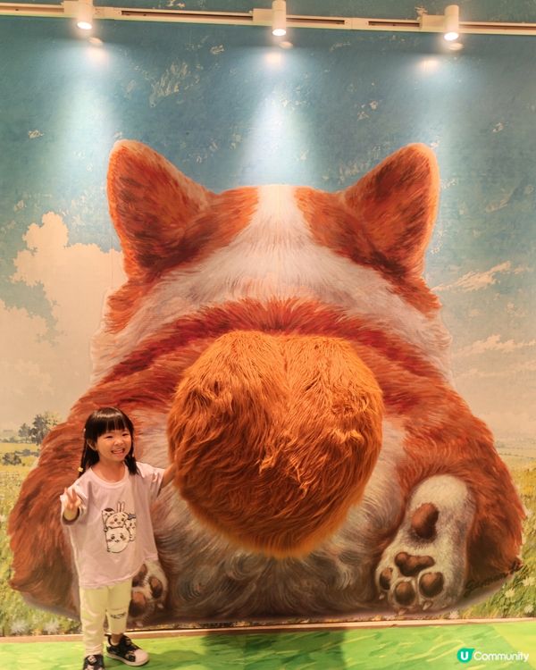 親子必去九龍灣貓貓展！🐱