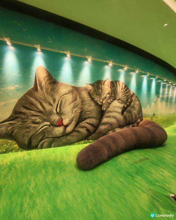 親子必去九龍灣貓貓展！🐱