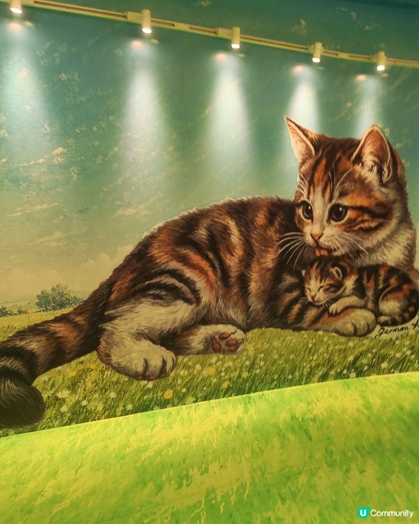 親子必去九龍灣貓貓展！🐱