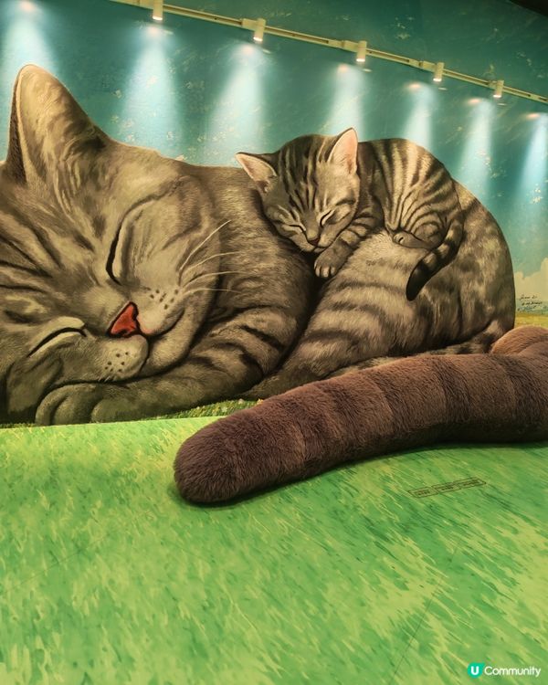 貓奴必去！17樓貓貓空中花園🐱