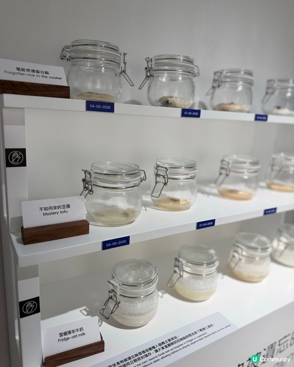 🚨 全球最臭嘔心食物博物館嚟到香港‼️