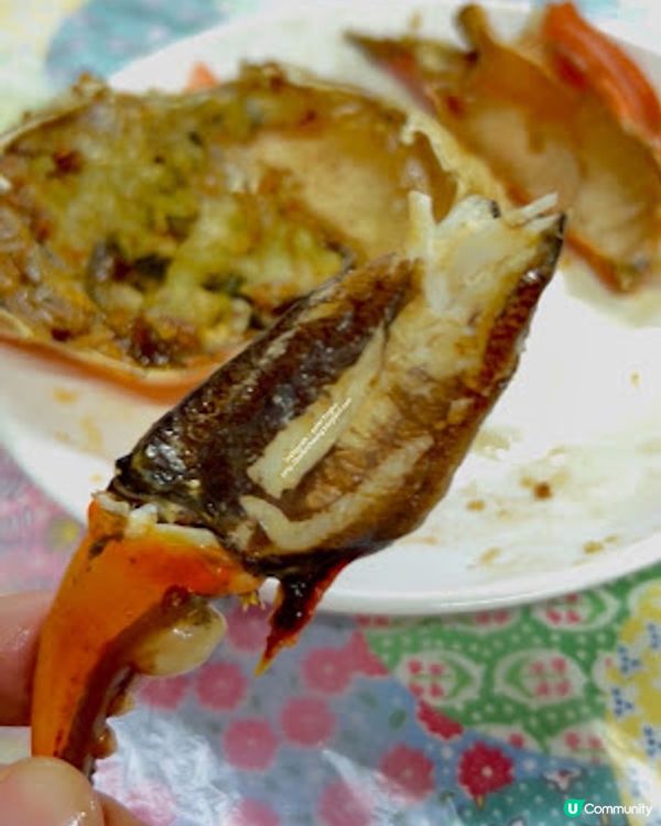 【銅鑼灣 食記】銅鑼灣避風塘海上美食│搭駁艇上船吹著海風。欣賞香港夜景。食艇上風味海鮮 ♥ 信記避風塘海鮮美食