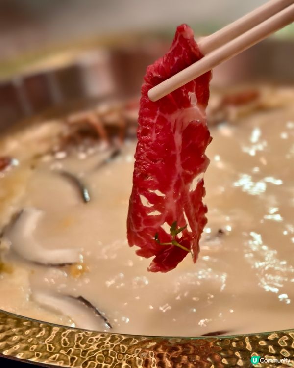 灣仔高質足料打邊爐