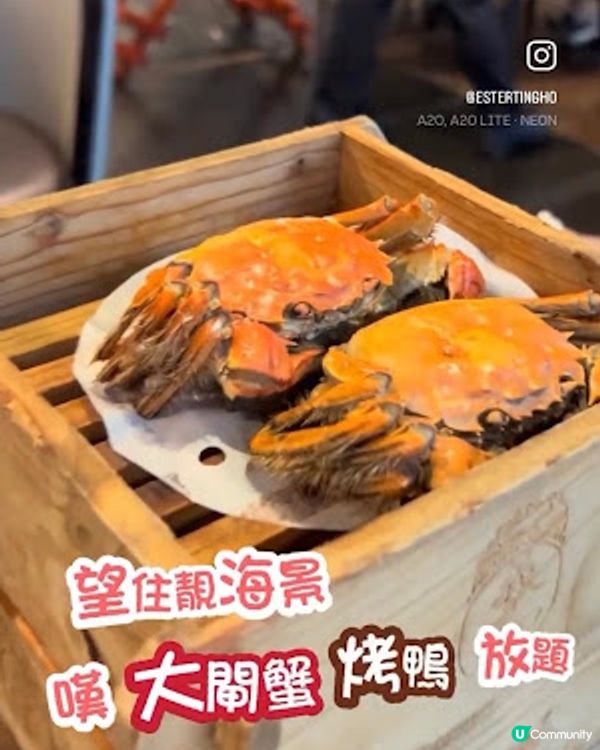 海港城│望住靚海景。嘆大閘蟹+烤鴨放題 ♥ 羲和雅苑