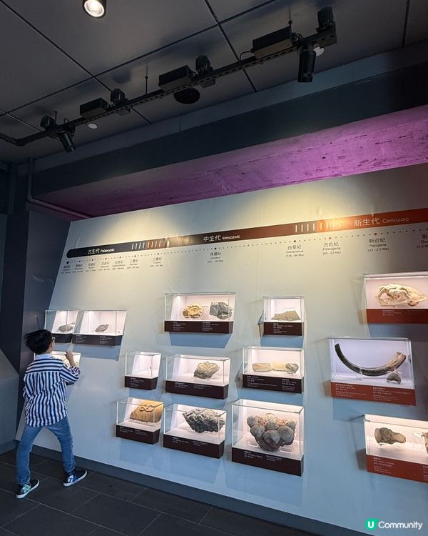 荃灣如心園化石公園🦕親子打卡好去處