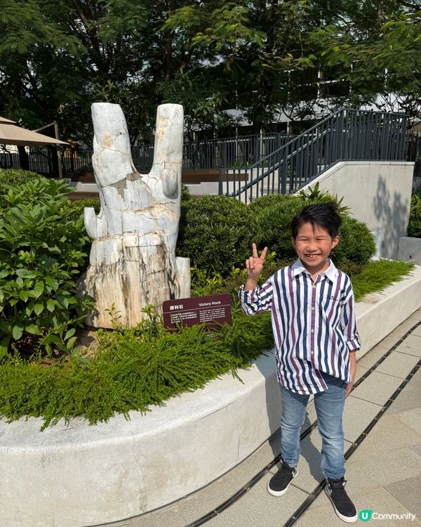 荃灣如心園化石公園🦕親子打卡好去處