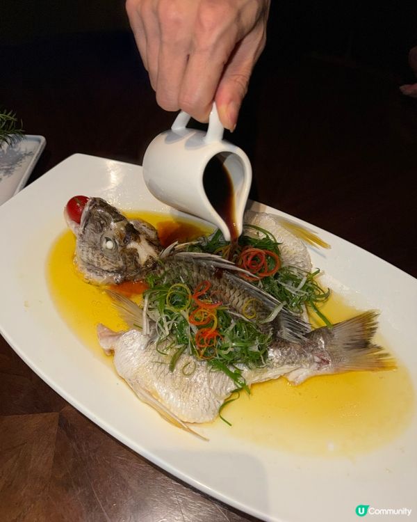 🍽️隱世酒店精緻粵菜🥢