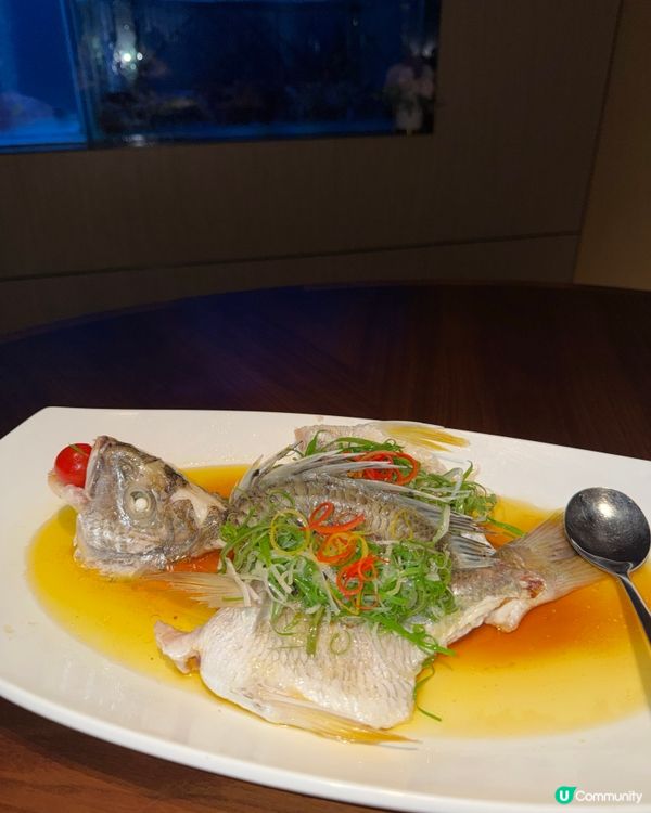 🍽️隱世酒店精緻粵菜🥢