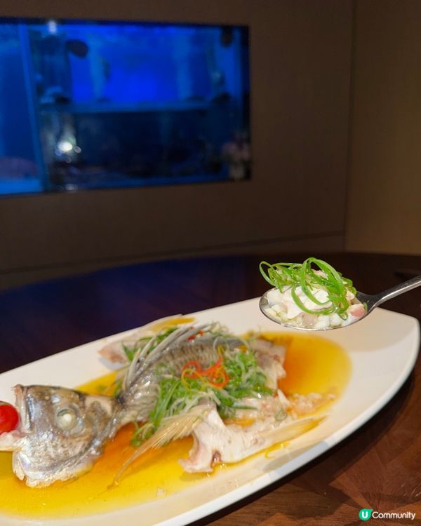 🍽️隱世酒店精緻粵菜🥢