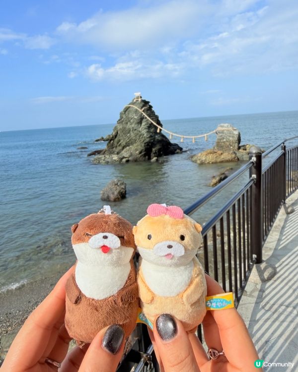 二見浦偶遇水獺扭蛋🦦