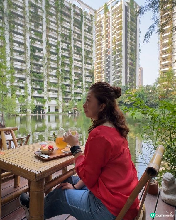 【深圳放空好去處】- 市區中的片刻寧靜