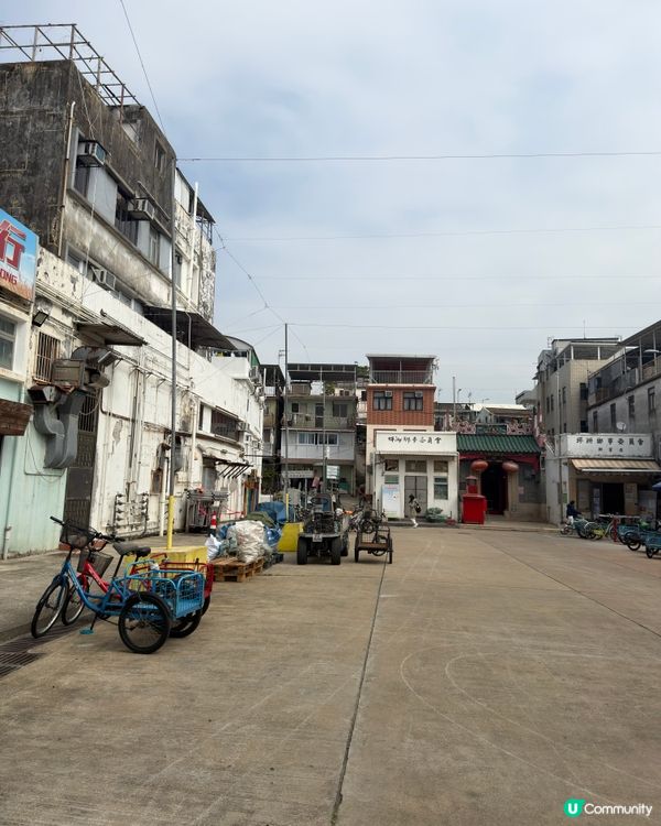 坪洲半日遊