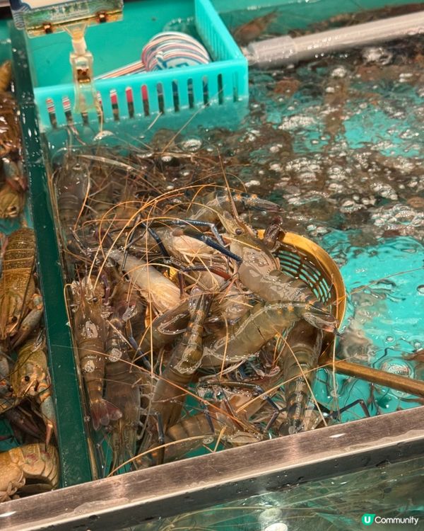 旺角海鮮放題天花板！🦞