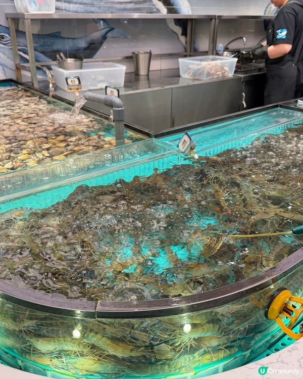 千海海鮮任撈放題🦐