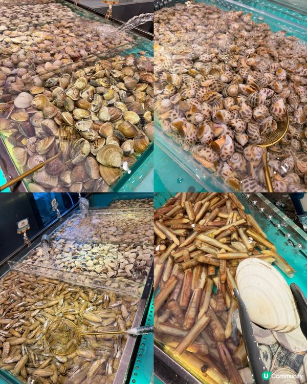 千海海鮮任撈放題🦐