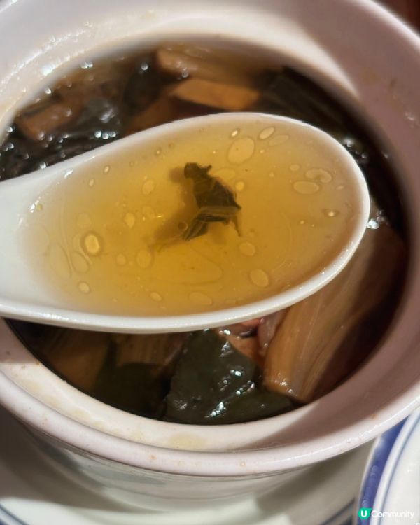 超難得!即叫即蒸精緻點心+暖胃養生燉湯