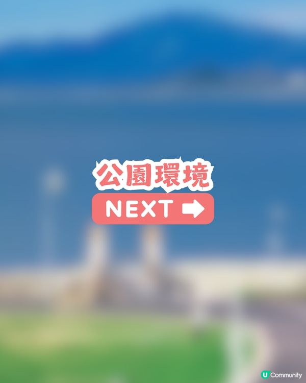 深圳三角梅花海盛開🌸免門票! 地鐵直達賞花海岸線