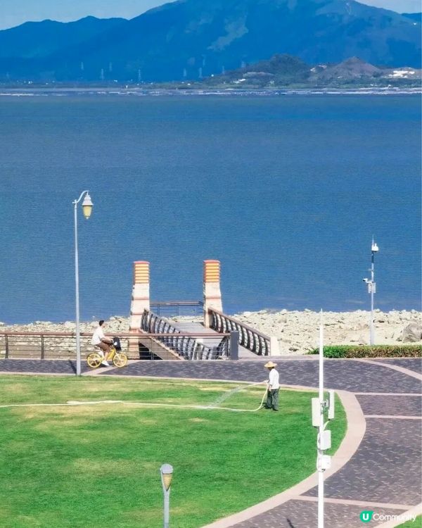 深圳三角梅花海盛開🌸免門票! 地鐵直達賞花海岸線