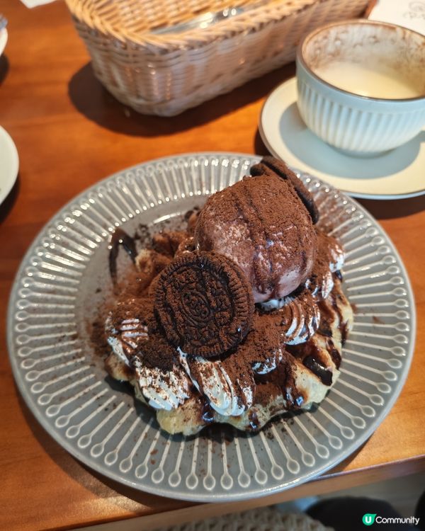 大埔度假風貓咪Cafe🐱✨