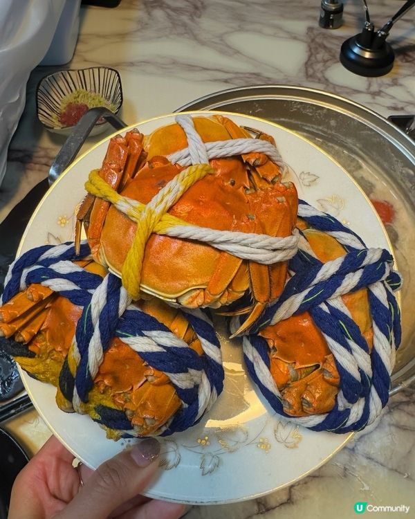 🍲🦀 尖沙咀|$398火鍋雞煲海鮮放題🔥 仲有任食大閘蟹!...