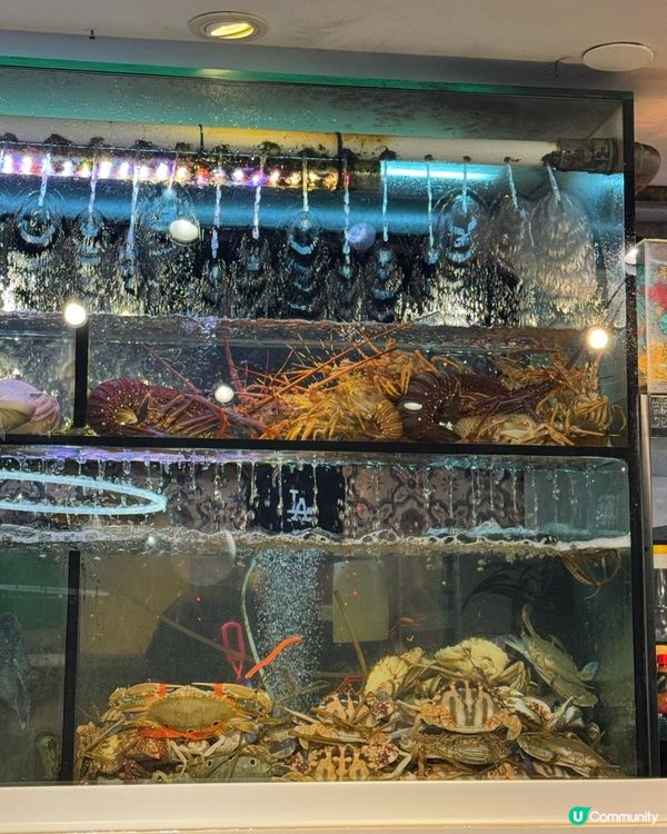 🍲🦀 尖沙咀|$398火鍋雞煲海鮮放題🔥 仲有任食大閘蟹!...