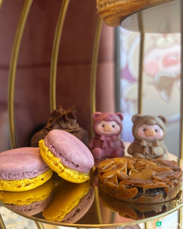 ‘Lucullus X Teddy LuLu’ 精緻又好食