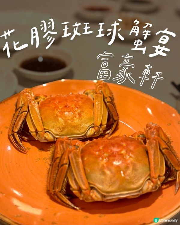 秋季滋補！花膠蟹宴🦀