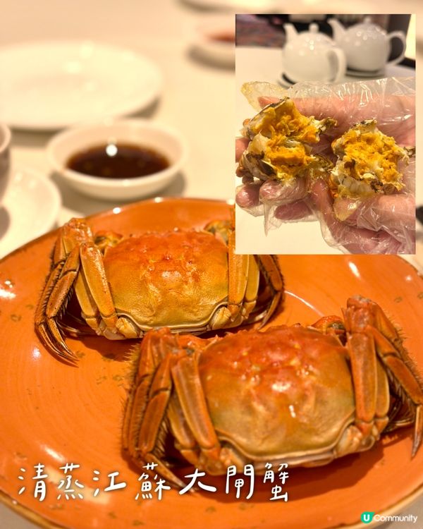 秋季滋補！花膠蟹宴🦀