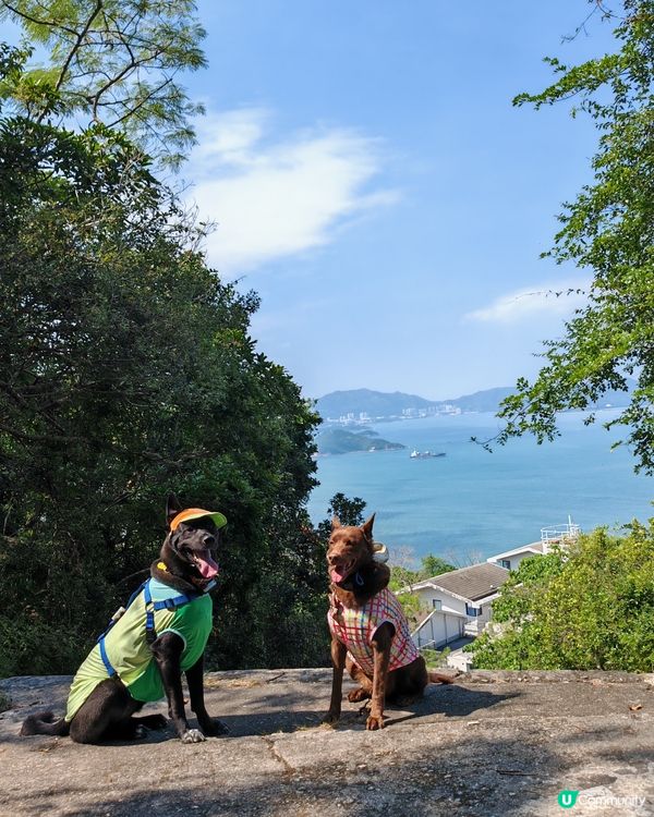 摩星嶺快閃行⛰️笑料百出！