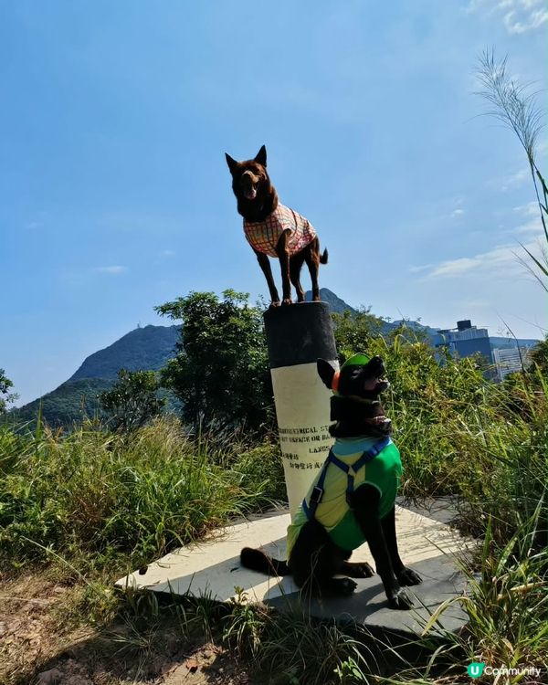 摩星嶺快閃行⛰️笑料百出！
