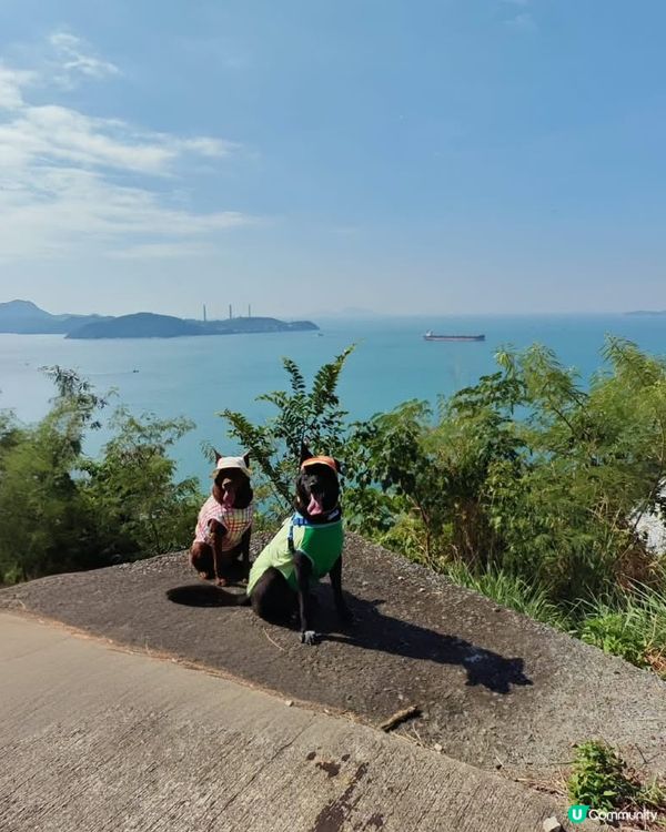摩星嶺快閃行⛰️笑料百出！