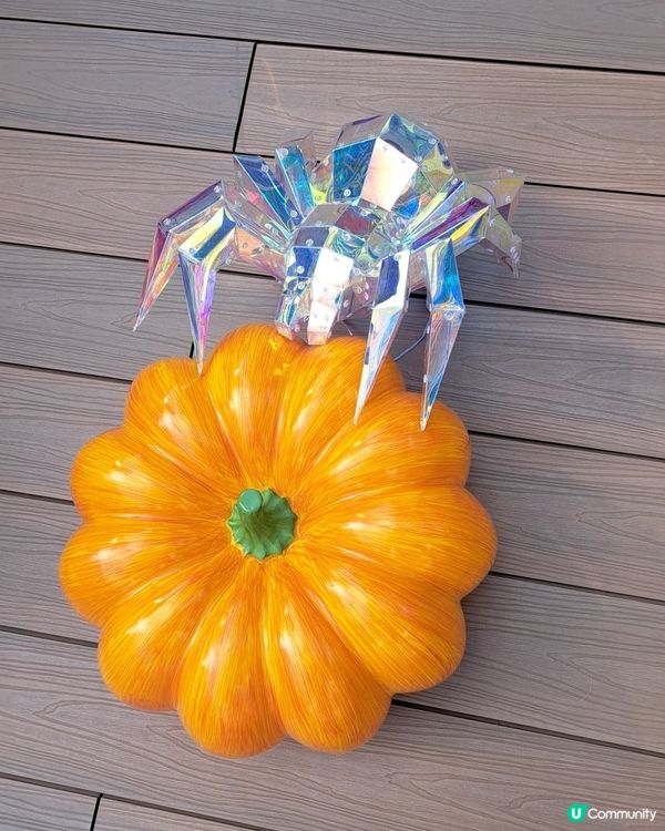 Halloween in the Angle