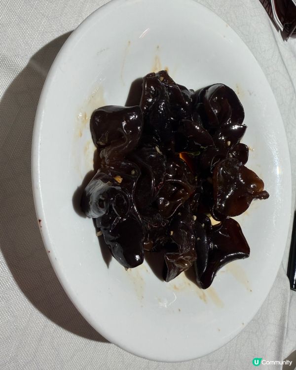 深圳必食！大鴿飯超狂服務🕊️