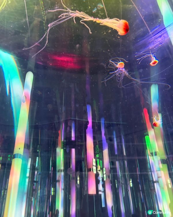 DMM Kariyushi Aquarium水族館互動體驗