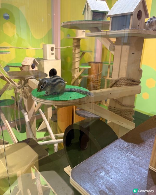 DMM Kariyushi Aquarium水族館互動體驗