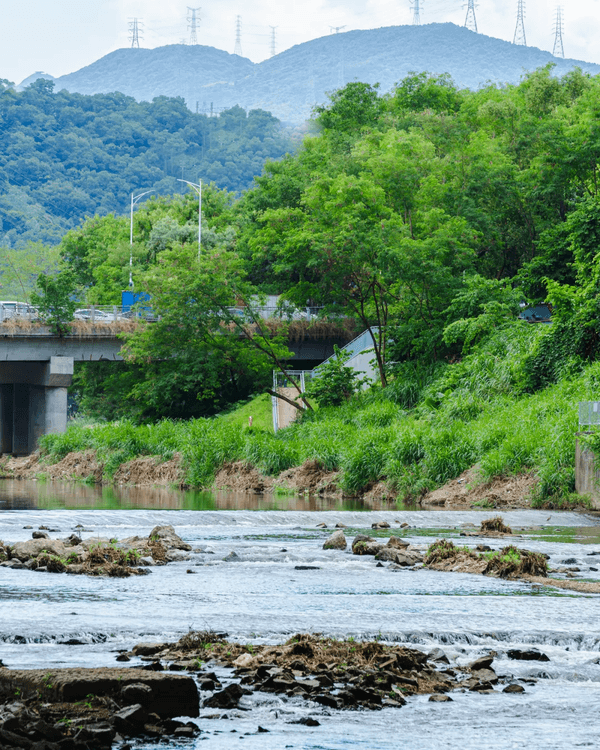 深圳全新郊游好去處龍崗河碧道🚶🏻啱晒親子出遊散步、踩單車🚲