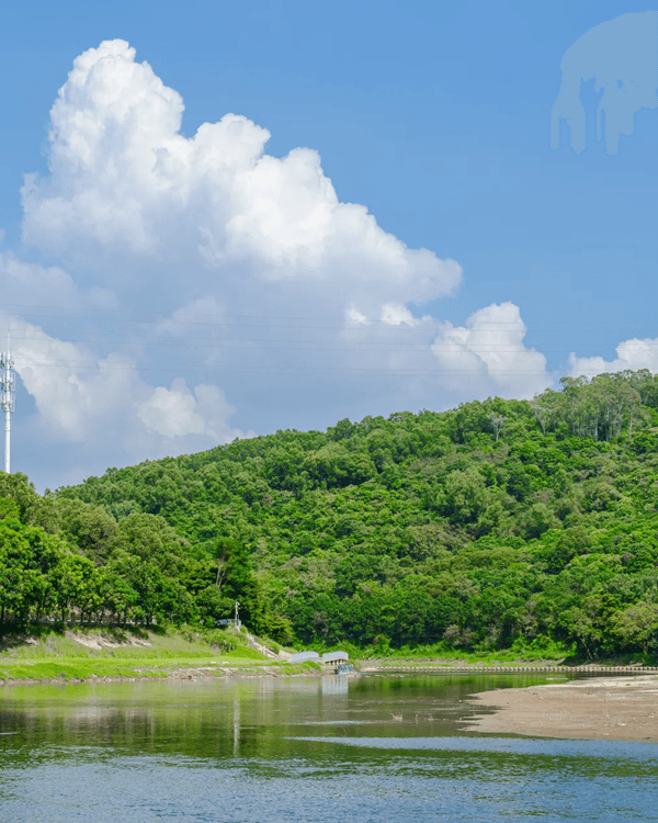 深圳全新郊游好去處龍崗河碧道🚶🏻啱晒親子出遊散步、踩單車🚲