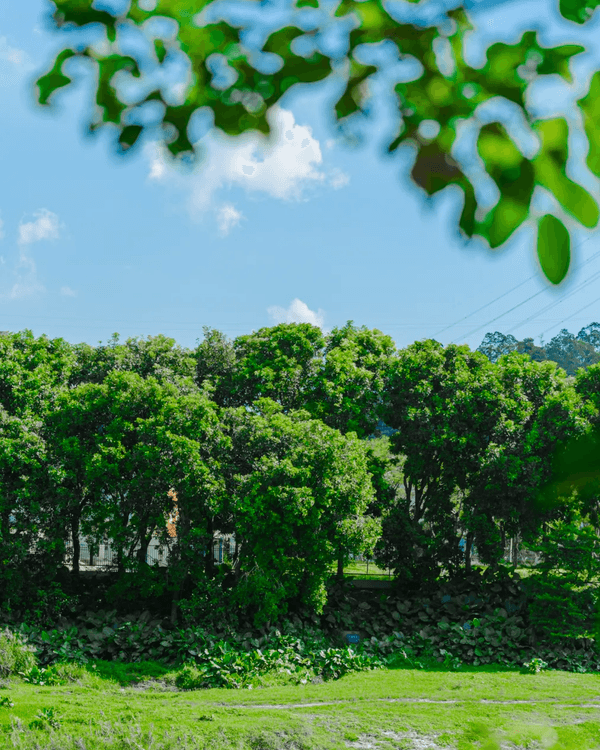 深圳全新郊游好去處龍崗河碧道🚶🏻啱晒親子出遊散步、踩單車🚲