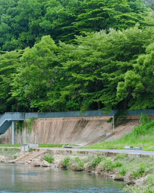 深圳全新郊游好去處龍崗河碧道🚶🏻啱晒親子出遊散步、踩單車🚲