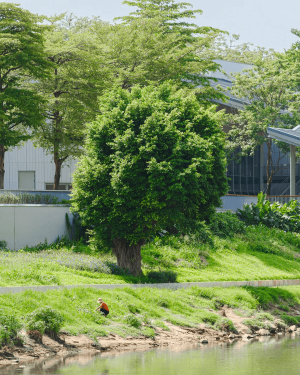 深圳全新郊游好去處龍崗河碧道🚶🏻啱晒親子出遊散步、踩單車🚲