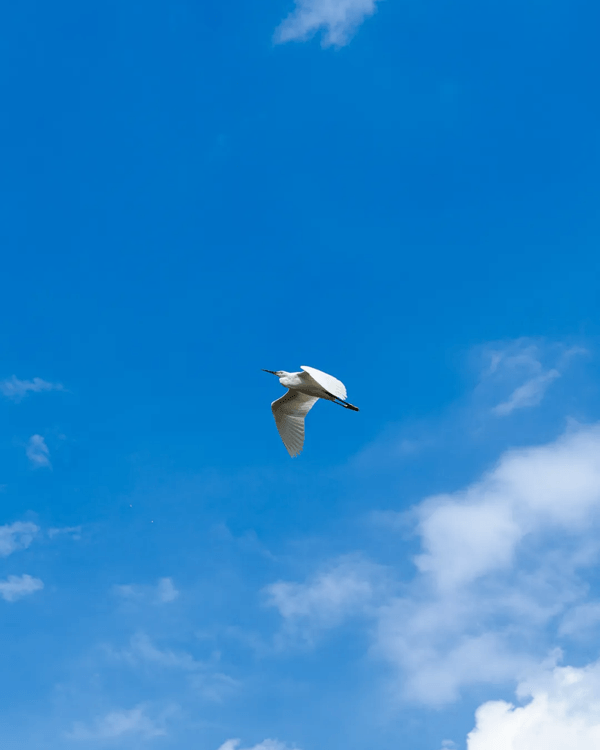 深圳全新郊游好去處龍崗河碧道🚶🏻啱晒親子出遊散步、踩單車🚲