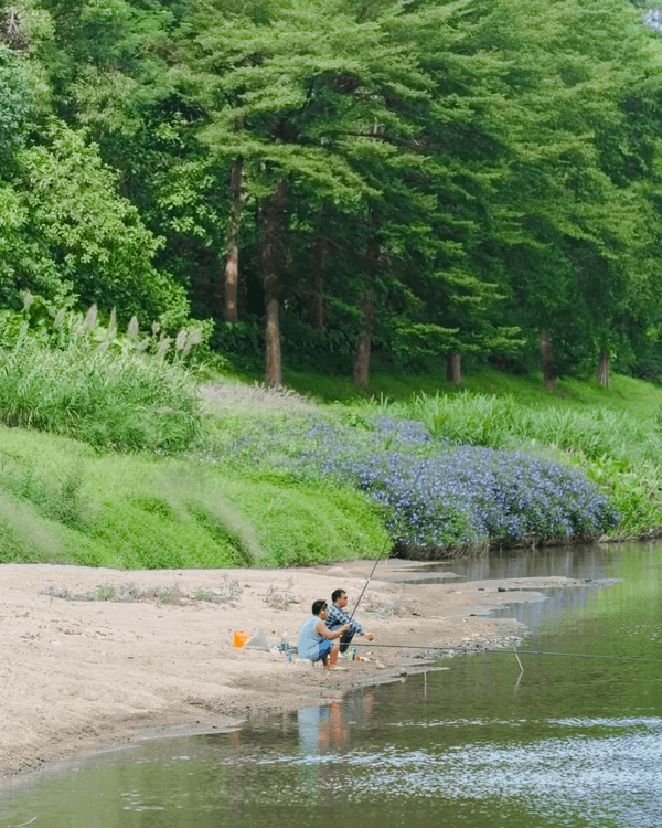 深圳全新郊游好去處龍崗河碧道🚶🏻啱晒親子出遊散步、踩單車🚲