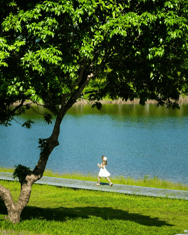 深圳必去2間湖景公園Cafe☕️愜意嘆咖啡之餘影相打卡一流📷