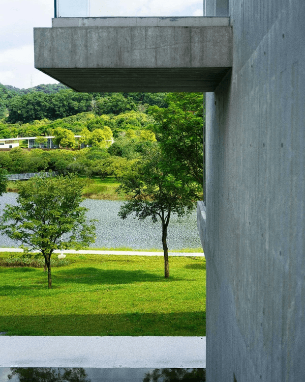 深圳必去2間湖景公園Cafe☕️愜意嘆咖啡之餘影相打卡一流📷