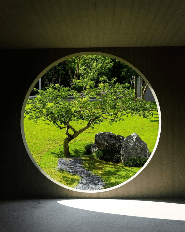 深圳必去2間湖景公園Cafe☕️愜意嘆咖啡之餘影相打卡一流📷